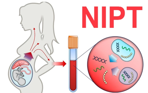 Chương trình ngoại kiểm Nội tiết học